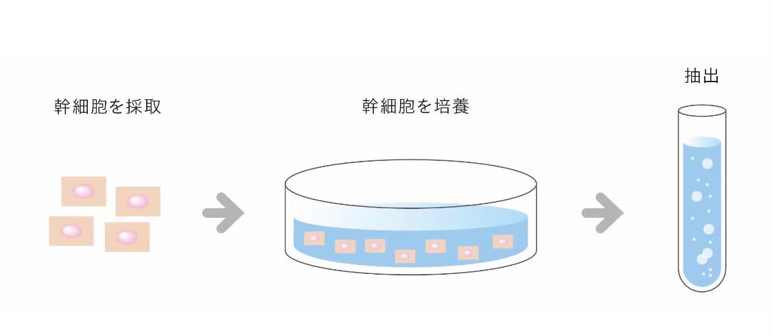 エアジェットとラジオ波でお肌の基底層までアプローチ